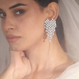 Starlit Glam Zirconia Danglers